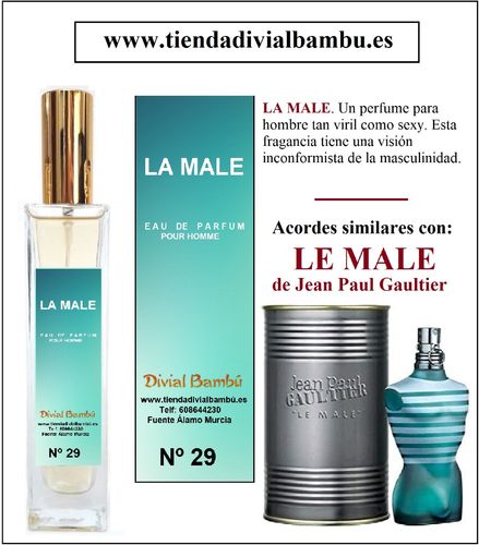 Nº 29 LA MALE perfume hombre 50ml